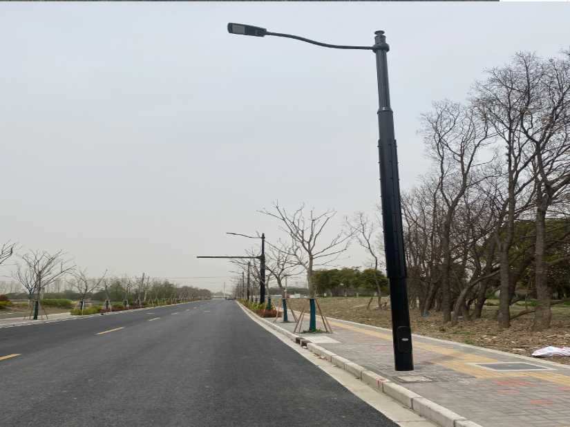 秀峰区上海综合杆 太阳能路灯工程